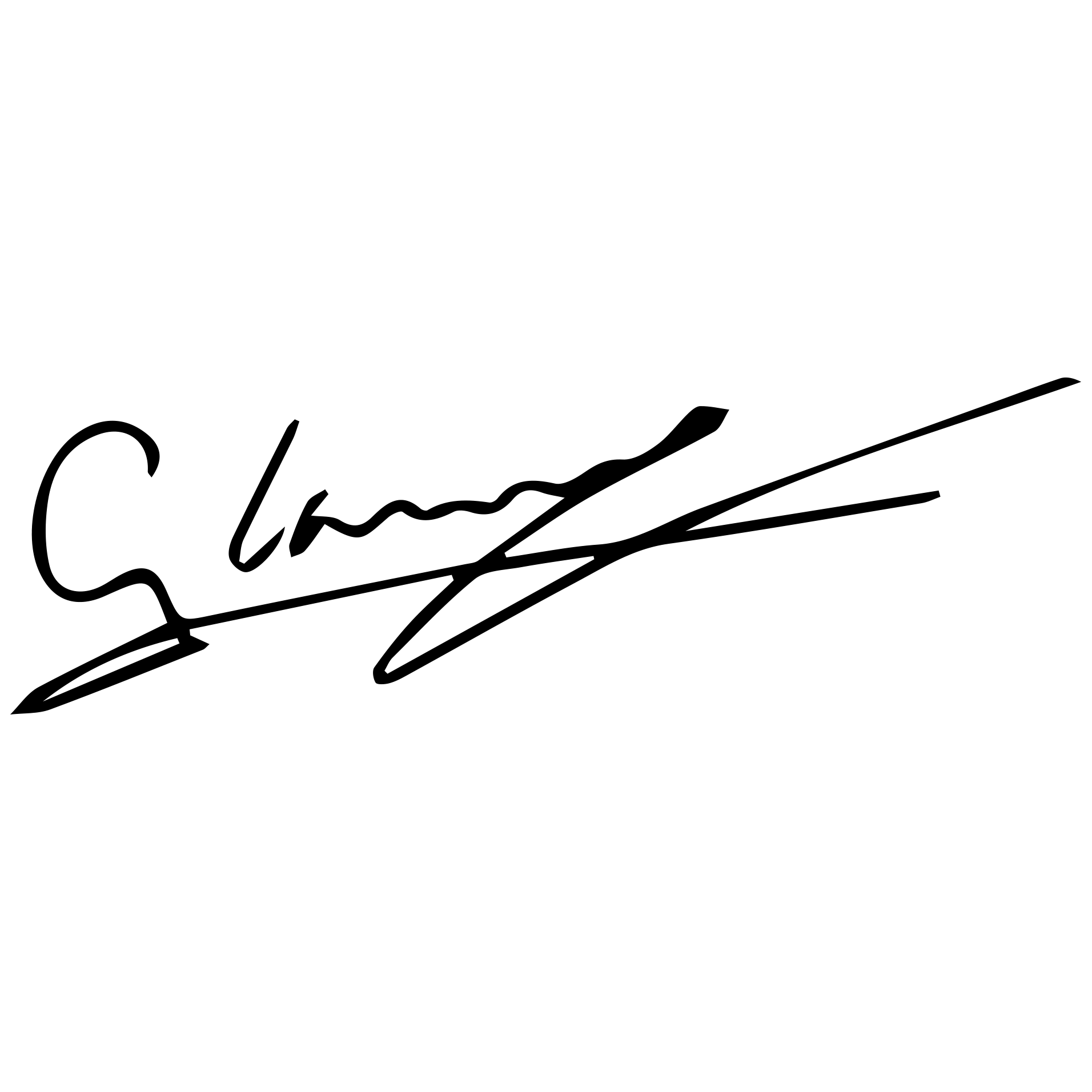 Lamey's signature